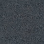 Bull Antracite